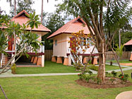chiangmai swimming pools chiang mai resort